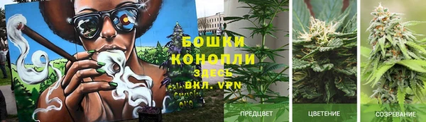 мдпв Новокубанск