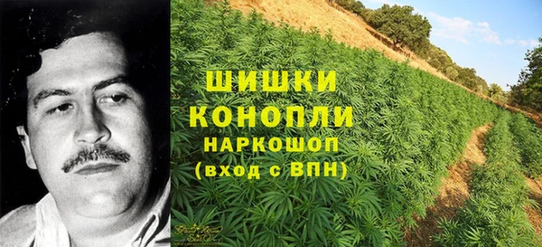 mdma Няндома