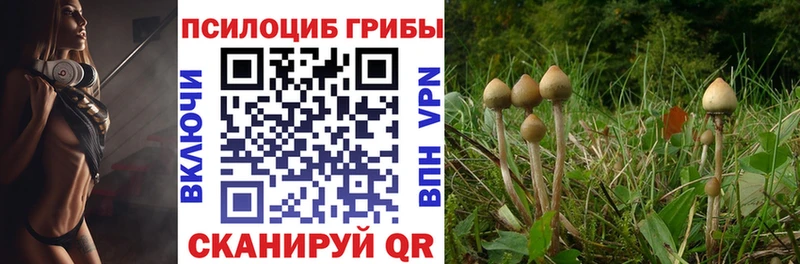 Псилоцибиновые грибы ЛСД  Юрьев-Польский 